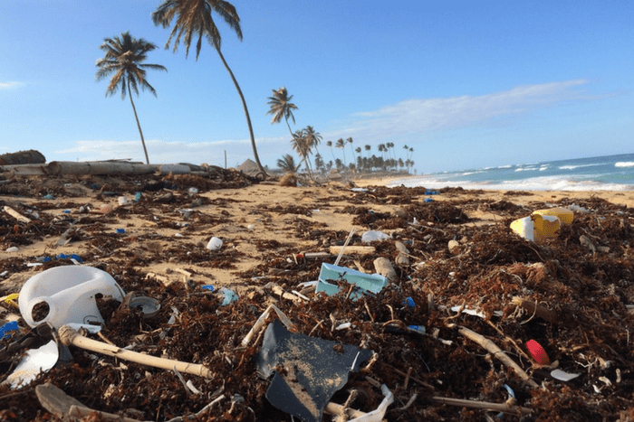 Plastic Pollution On The Beach