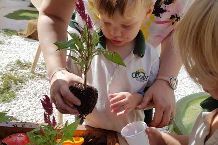 Odyssey-Nursery-min Odyssey nursery