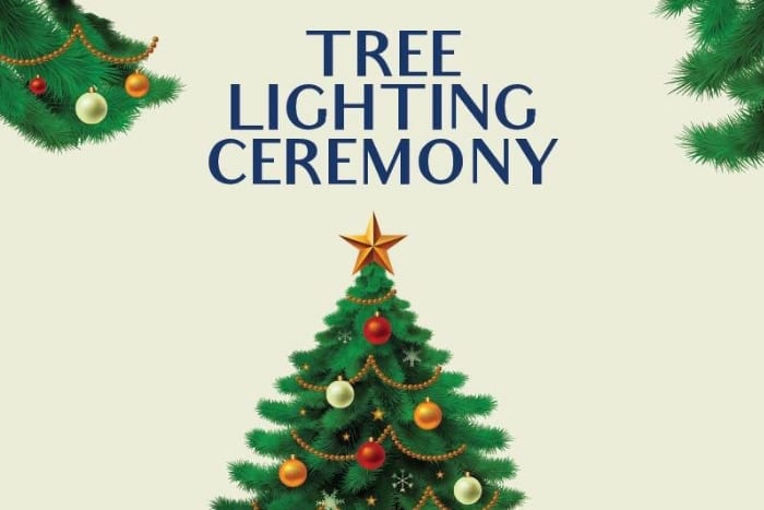 Tree Lighting Saadiyat Golf Club