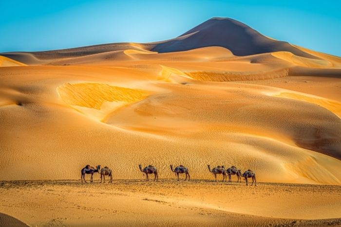 7 Best Places In The Abu Dhabi Desert For Day Trippers, Stargazers And Campers