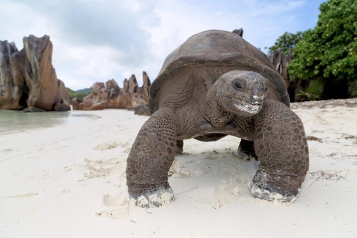 Seychelles Adventure: Your Next Vaycay Destination!