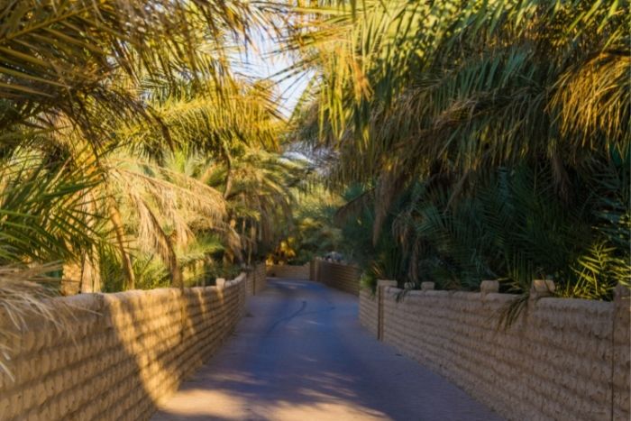 Learn the art of creating your very own tasty ceviche perus most famous dish @coyaabudhabi. Head over to yallaabudhabi. Ae to find out more 6
