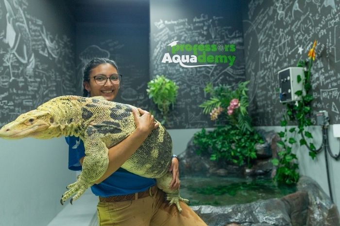 The National Aquarium, Abu Dhabi: What To See