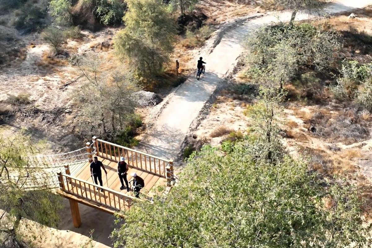 Hiking Trail At Mushrif Park Dubai