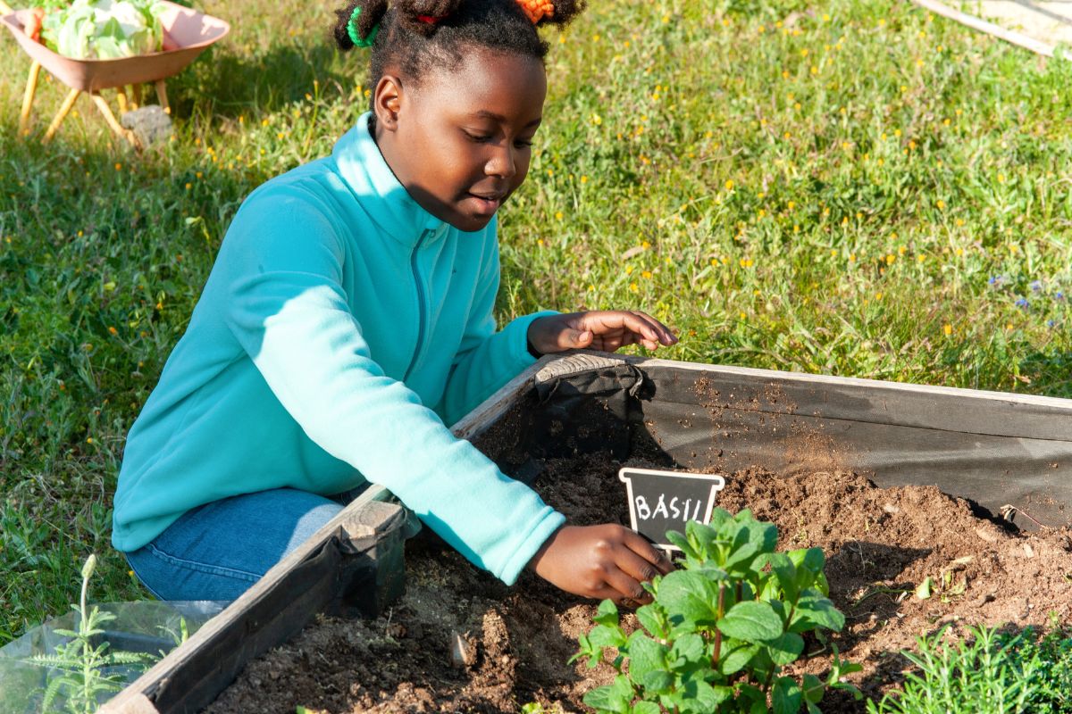 Sustainable Schools