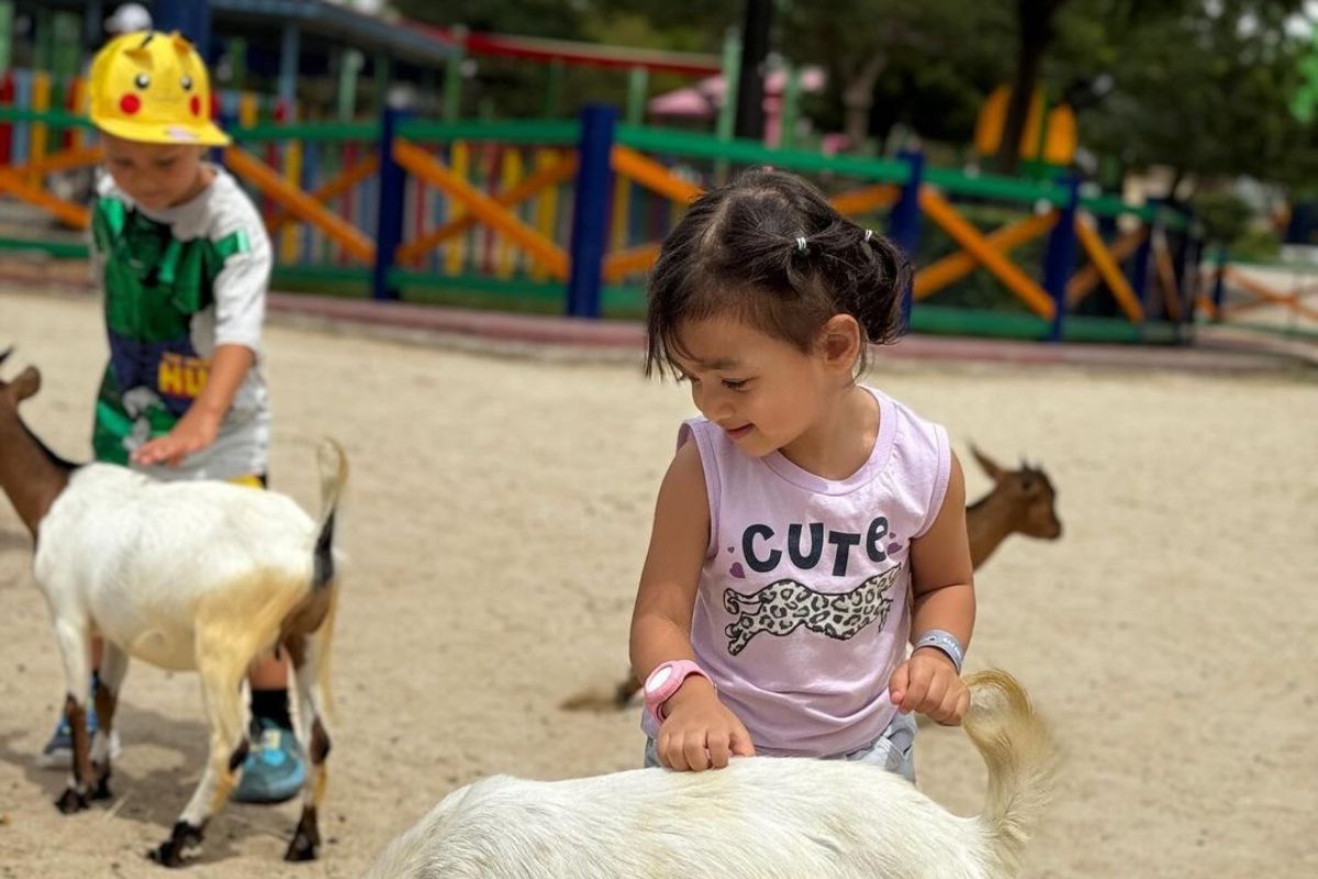 Dubai Safari Reopens, Featuring Kids Petting The Animals