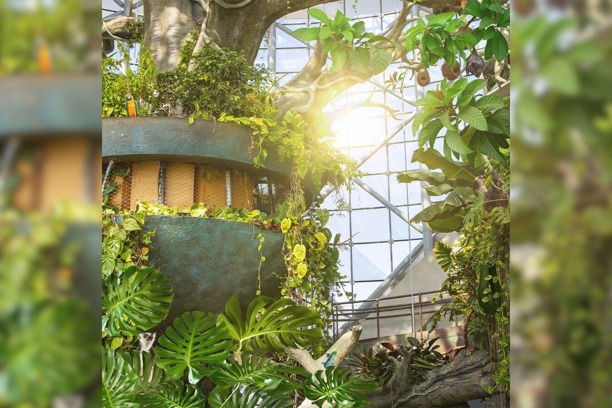 The Green Planet Launches Outdoor Spectacular Tropical Indoor Nature Park