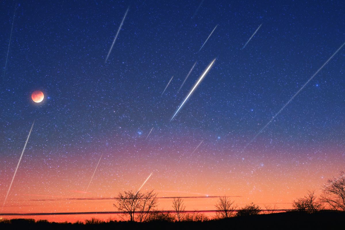 The best spot to catch the Leonid meteor shower in the UAE Yalla