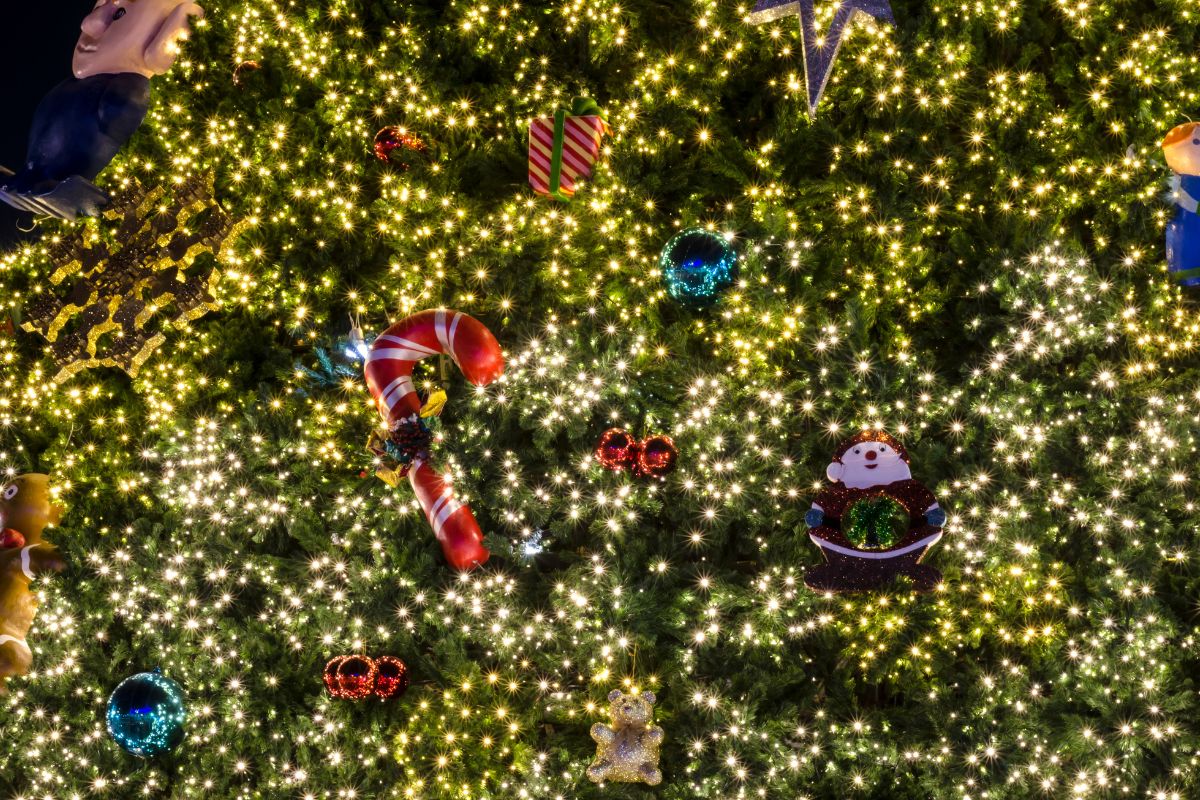 Jump into the festive seasons with these Christmas treelighting