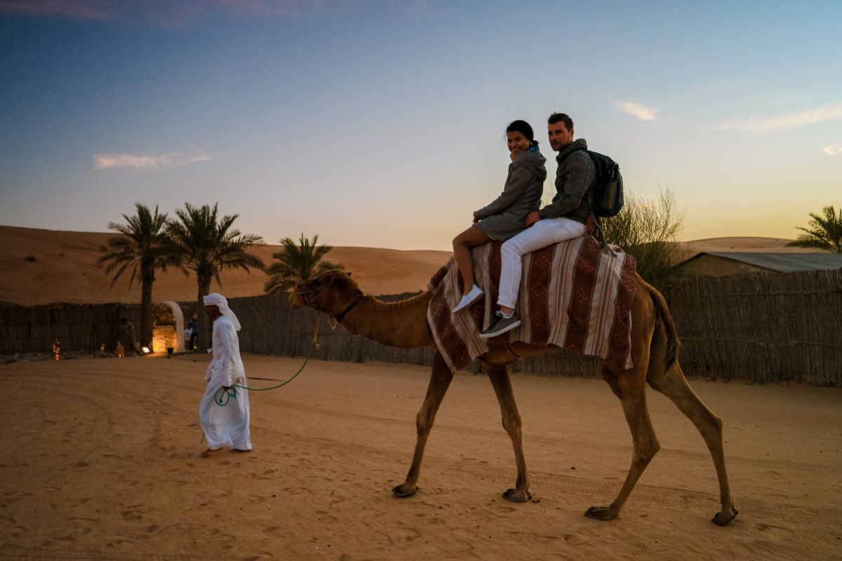 Dubai Camel