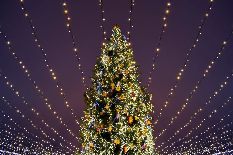 Best Christmas tree lightings Dubai