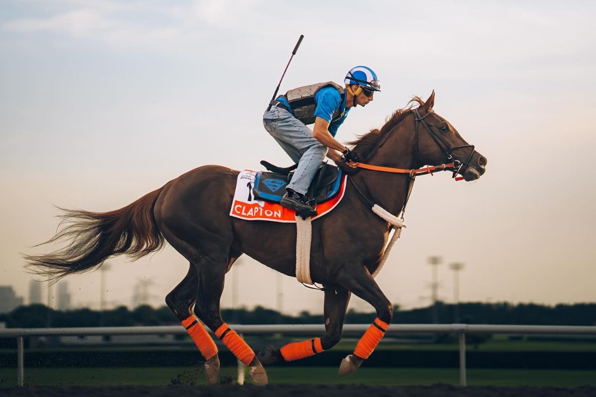 Dubai World Cup 2024