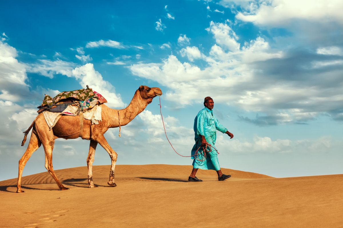 A Camel Walking In The Desert With His Caretaker Or Owner