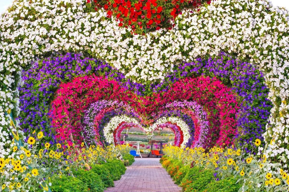 A Flower Arch Shaped Like A Heart At Dubai Miracle Garden