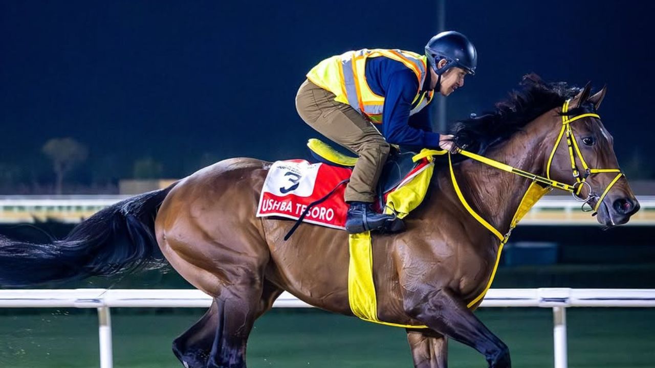 The Dubai World Cup Morning Gallop
