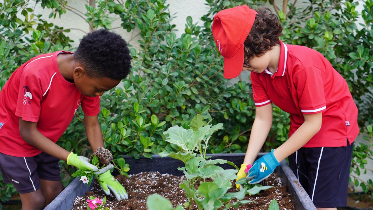 Swiss international school dubai le jardin suisse