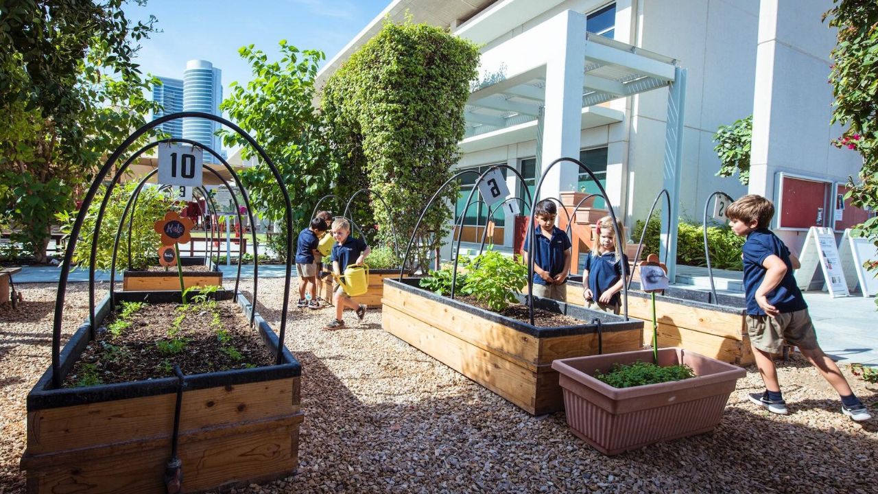 asd American school dubai