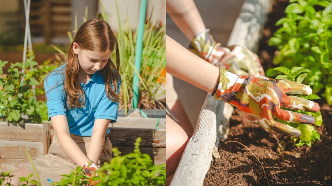Top eco-friendly schools in Dubai leading sustainability in 2025 Fairgreen international school