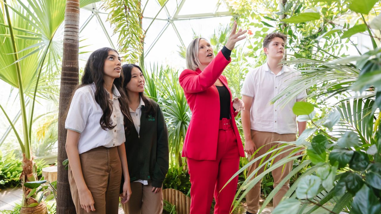 The arbor school dubai