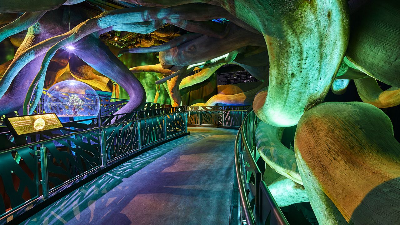 Celebrated authors, family friendly activities and a guided tour of Under The Forest at the Enchanted Forest Festival Terra Expo City Dubai