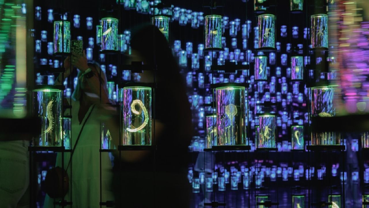 interior of museum of the future dubai