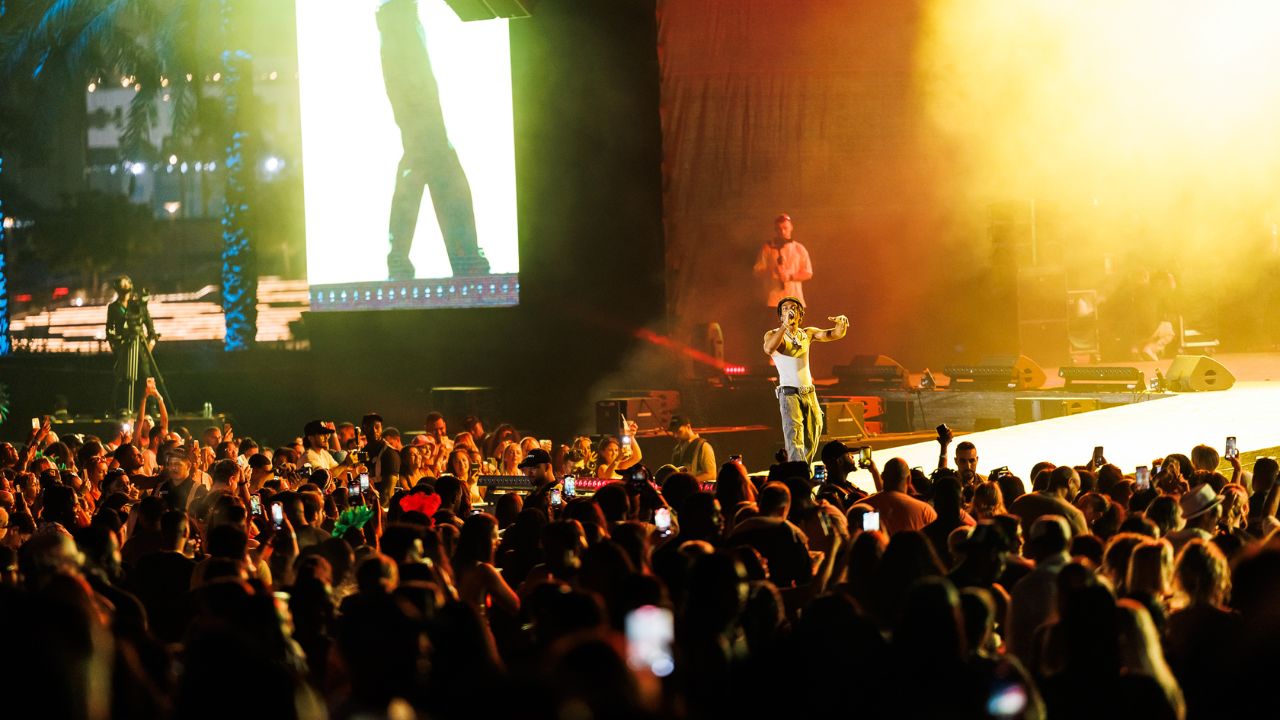 Butterfly carnival 2025