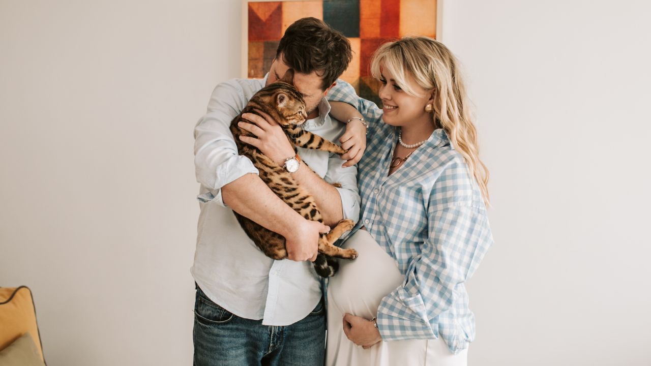 Pet journey launches uae’s first online pet relocation service