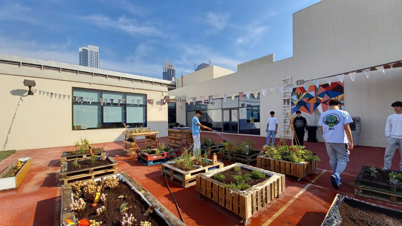 eco friendly school dubai american academy
