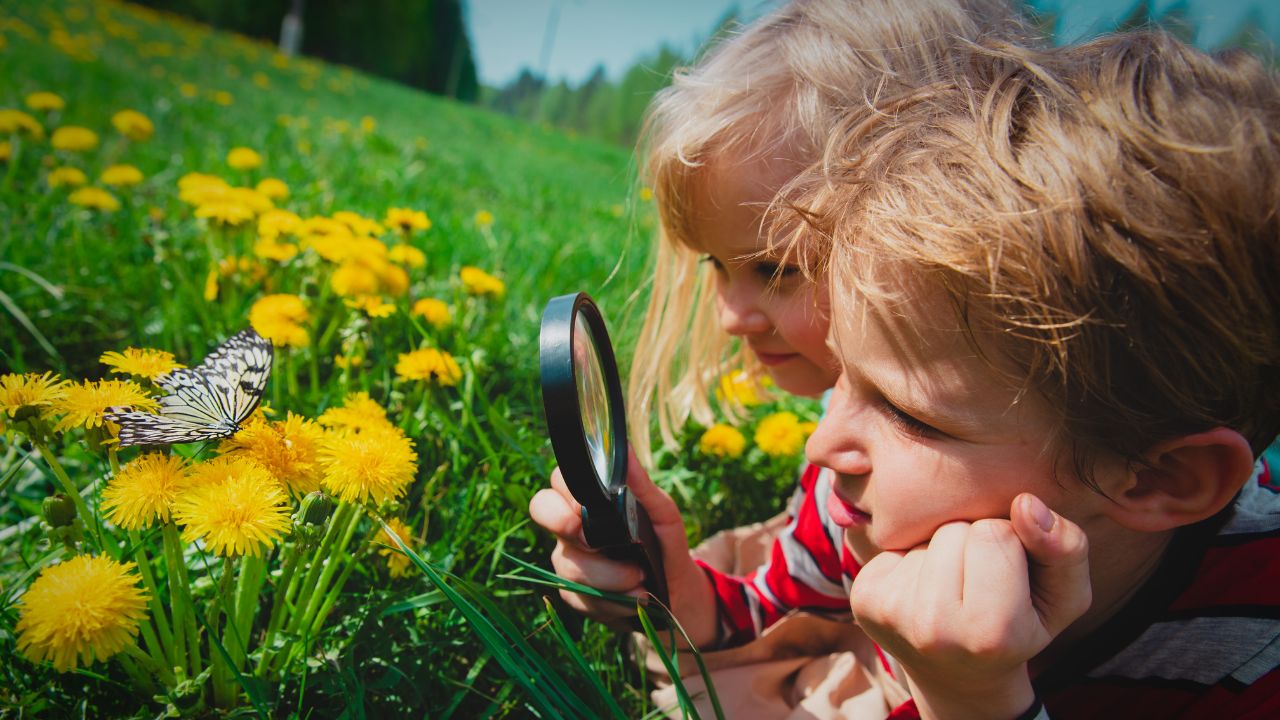 Children exploring outdoors with a magnifying glass and butterfly in a green field.