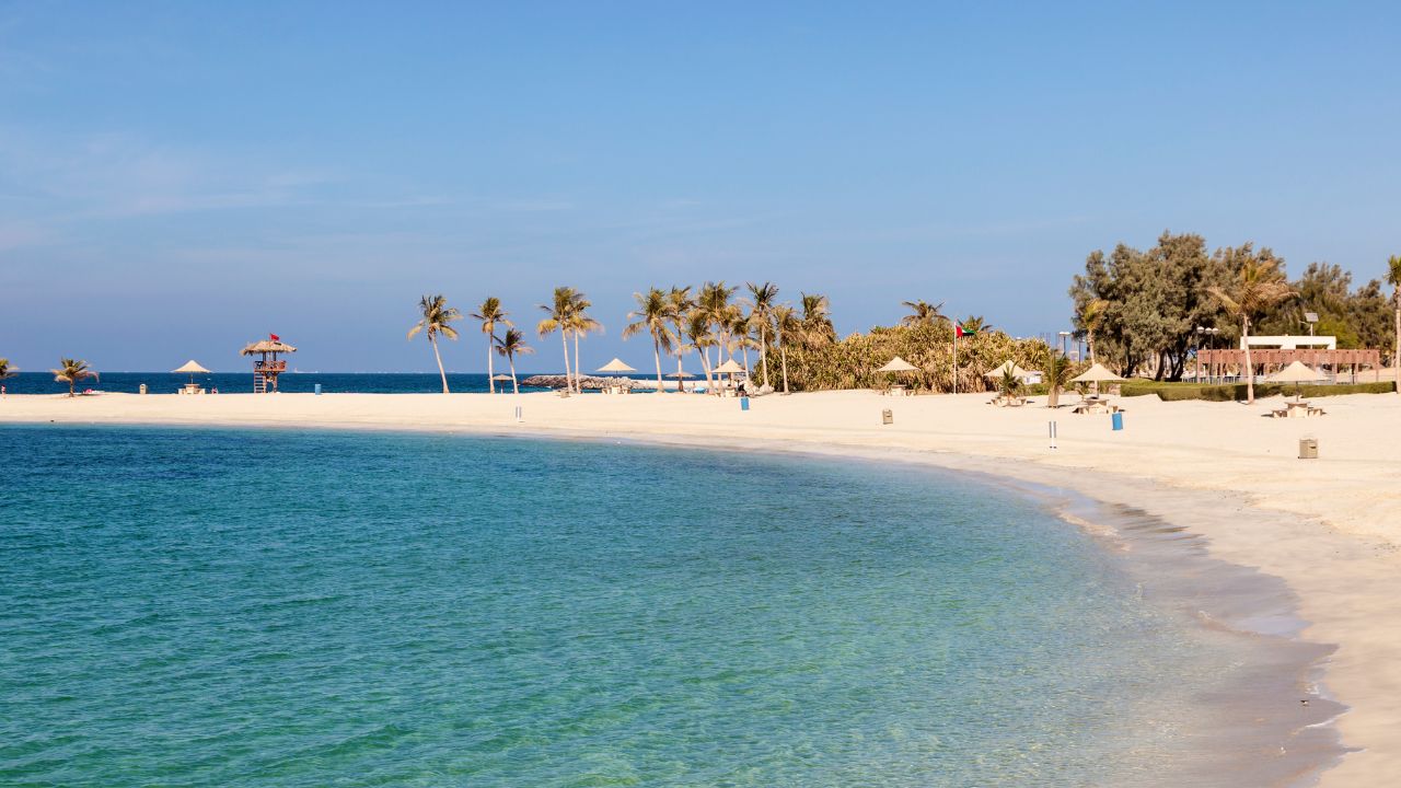 Yalla Dubai Beach Scene Beautiful Dubai beach with clear waters and palm trees.