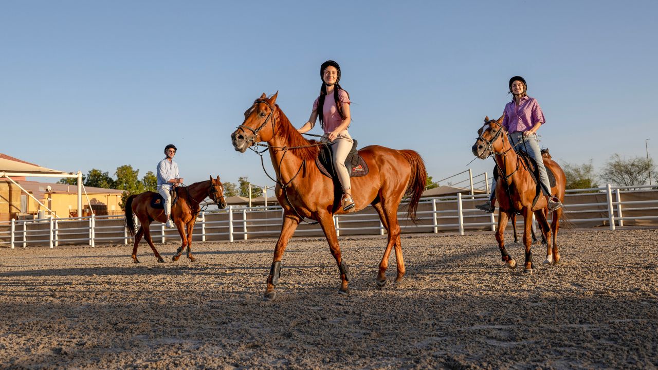People riding horses in an outdoor riding arena in Al Ain, UAE.