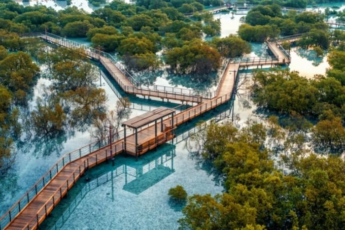 Jubail Mangrove Park To Hold Open Day