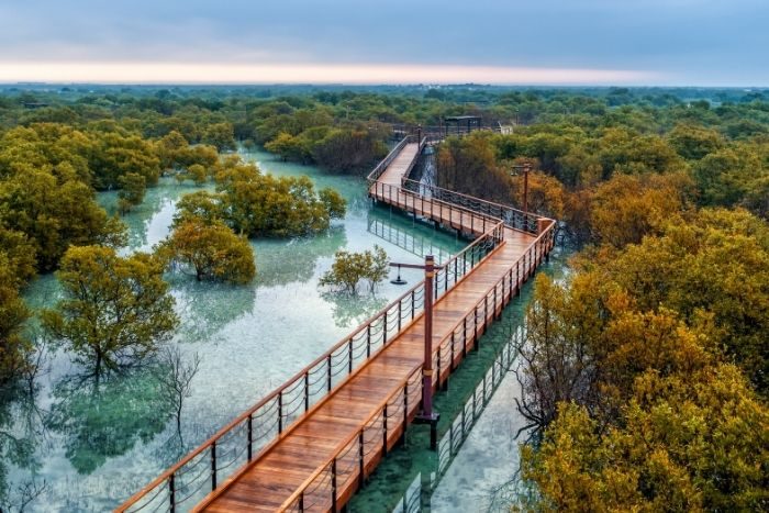 Jubail Mangrove Park Abu Dhabi