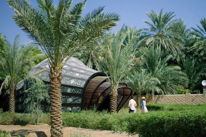 Al Ain Oasis