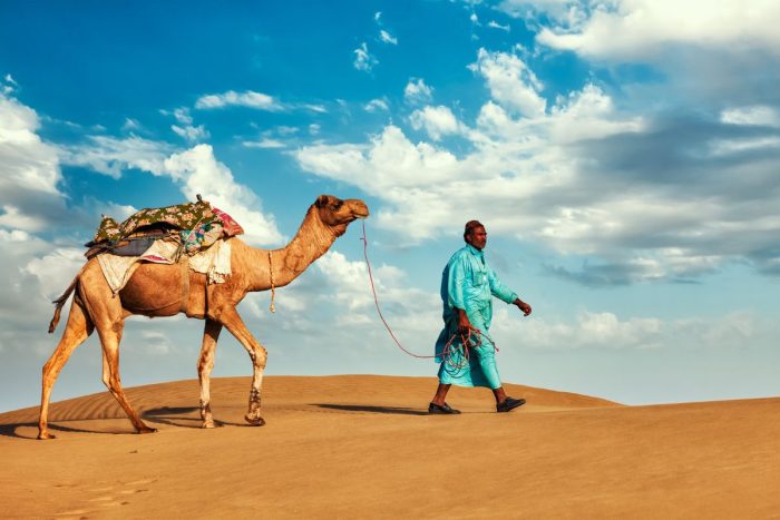 A camel walking in the desert with his caretaker or owner