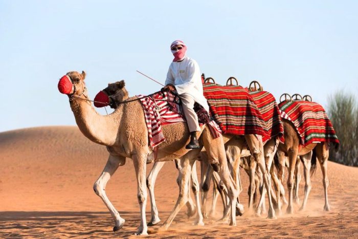 Dubai Desert Conservation Reserve