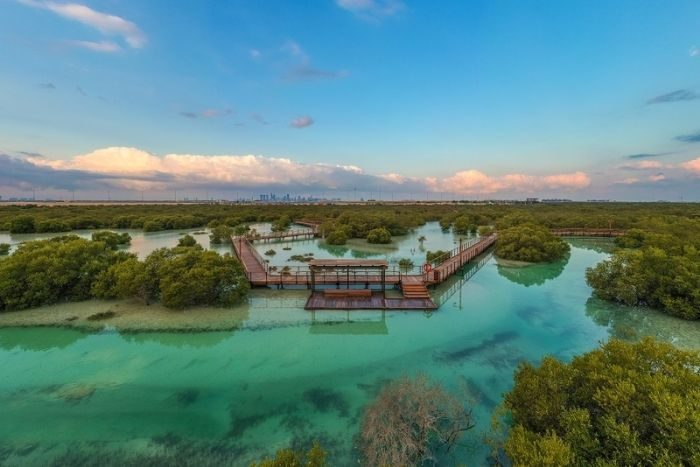 Jubail Island Abu Dhabi One Million Mangrove Trees