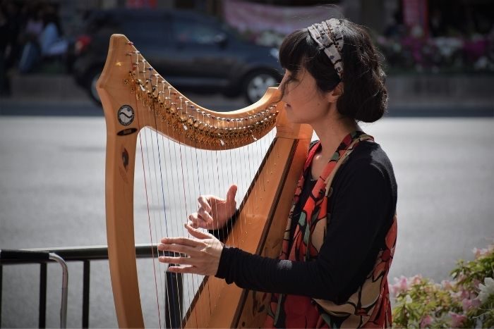 Harpist Abu Dhabi Mall Valentines