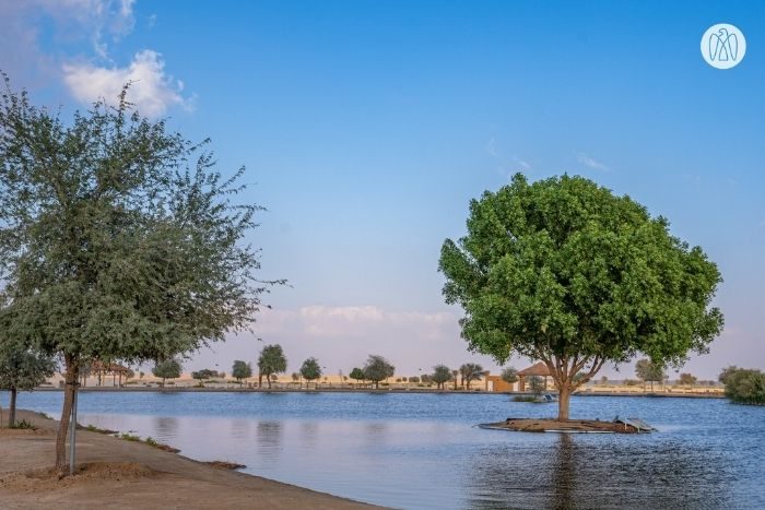 Al wathba lake camp site