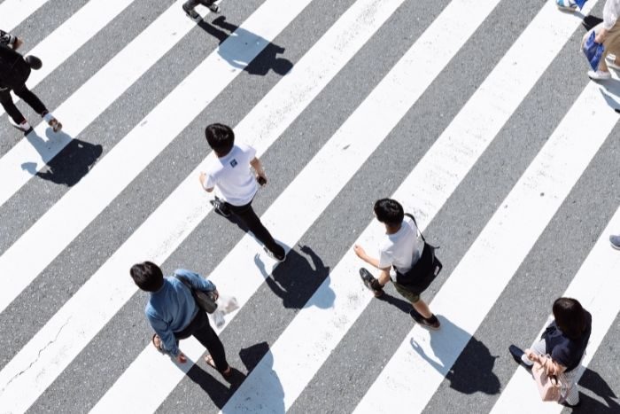 Abu dhabi zebra crossing radars