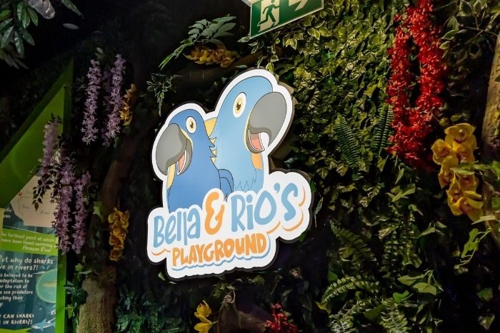 Bella and Rio kids' zone The National Aquarium Abu Dhabi