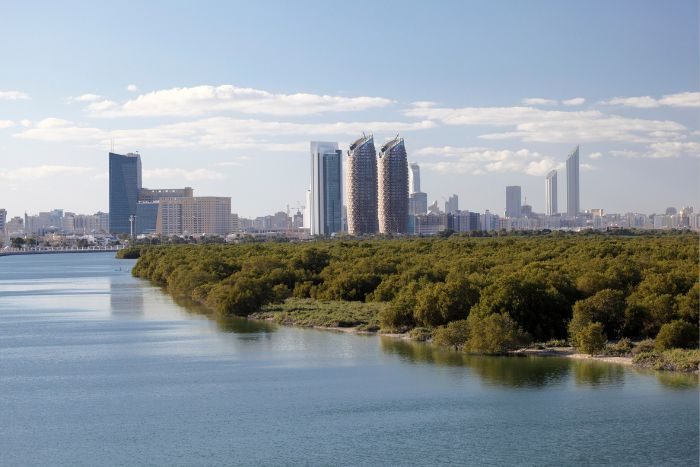 The Environment Agency Abu Dhabi Mangrove Restoration