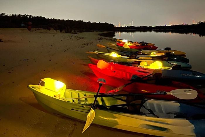 Kayaking eastern mangroves