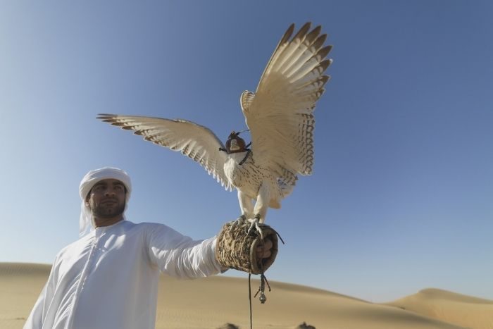 Al Marzoom Hunting Reserve begins seventh season