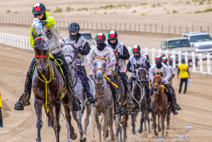 Emirates International Endurance Village