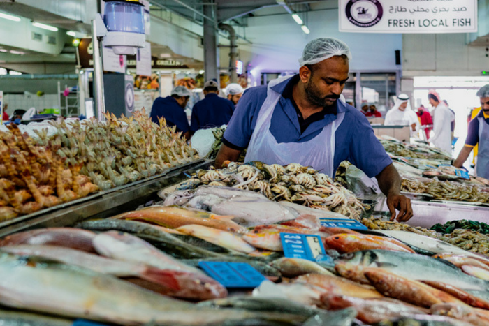 Mina Port Fish Market