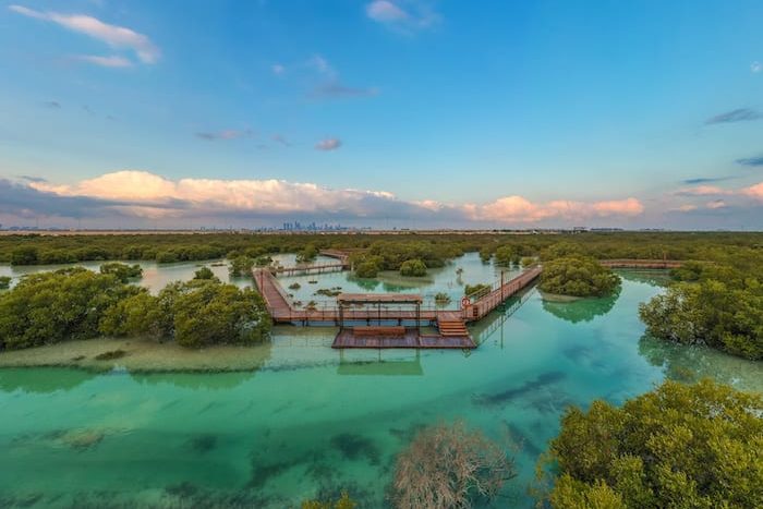 Jubail Mangrove Park