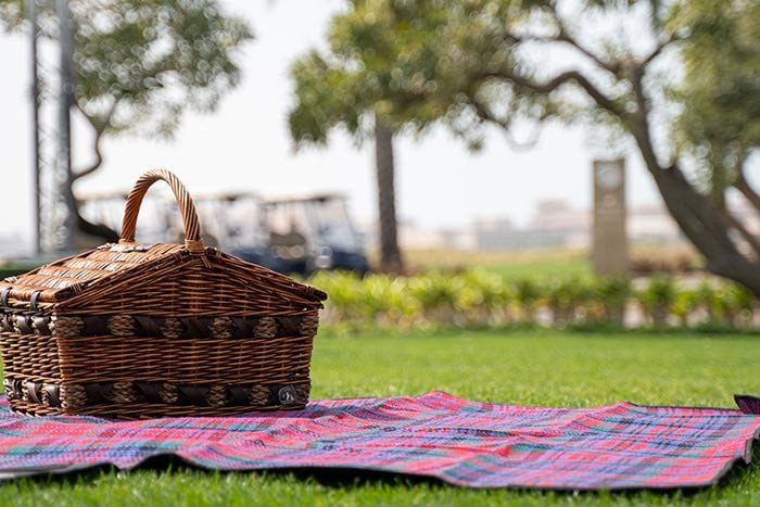 Picnic on the grass