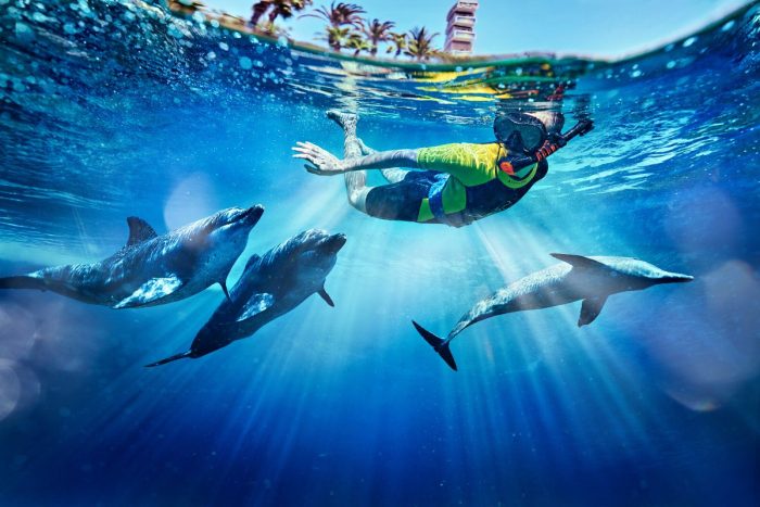 Dive Atlantis for the best places to visit in Dubai this summer