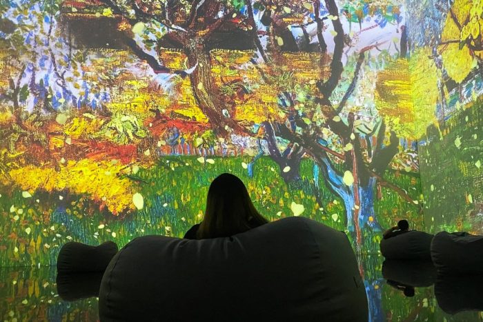 Van Gogh X Japan Exhibition in Dubai